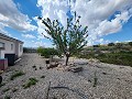 3-Schlafzimmer-Haus mit 15 kW Solar mit großen Zimmern in Alicante Dream Homes API 1122