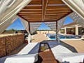 3 Bedroom 2 Bathroom Villa Pinoso in Alicante Dream Homes API 1122