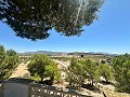 Country house with pool and incredible views in Sax in Alicante Dream Homes API 1122