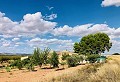 Wunderschön erhaltenes Landhaus in atemberaubender Yecla-Lage in Alicante Dream Homes API 1122