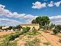 Wunderschön erhaltenes Landhaus in atemberaubender Yecla-Lage in Alicante Dream Homes API 1122