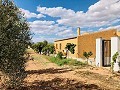 Wunderschön erhaltenes Landhaus in atemberaubender Yecla-Lage in Alicante Dream Homes API 1122