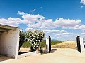 Wunderschön erhaltenes Landhaus in atemberaubender Yecla-Lage in Alicante Dream Homes API 1122