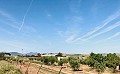 Country house at walking distance from Pinoso in Alicante Dream Homes API 1122