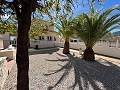 Prachtige villa met 4 slaapkamers in Alicante Dream Homes API 1122