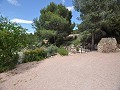 Maison en partie troglodyte modernisée dans les montagnes in Alicante Dream Homes API 1122