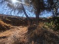 Maison en partie troglodyte modernisée dans les montagnes in Alicante Dream Homes API 1122