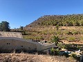 Maison en partie troglodyte modernisée dans les montagnes in Alicante Dream Homes API 1122