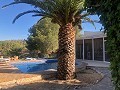 Teilmodernisiertes Höhlenhaus in den Bergen in Alicante Dream Homes API 1122