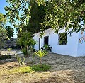 Schönes Landhaus mit großem Padelplatz in Alicante Dream Homes API 1122