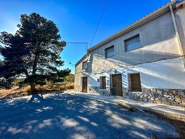 Groot huis op het platteland met percelen in Pinoso