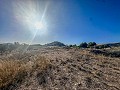 Immense maison à la campagne avec parcelles à Pinoso in Alicante Dream Homes API 1122