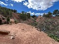 Maison de campagne à Pinoso avec 2 chambres troglodytes in Alicante Dream Homes API 1122