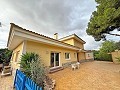 Villa mit 7 Schlafzimmern und 4 Badezimmern in Elda in Alicante Dream Homes API 1122