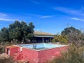 Maison de campagne avec piscine et maison d'hôtes entre Sax et Salinas in Alicante Dream Homes API 1122