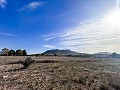 Maison de campagne avec piscine et maison d'hôtes entre Sax et Salinas in Alicante Dream Homes API 1122