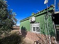 Maison de campagne avec piscine et maison d'hôtes entre Sax et Salinas in Alicante Dream Homes API 1122