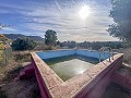 Maison de campagne avec piscine et maison d'hôtes entre Sax et Salinas in Alicante Dream Homes API 1122