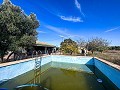 Maison de campagne avec piscine et maison d'hôtes entre Sax et Salinas in Alicante Dream Homes API 1122